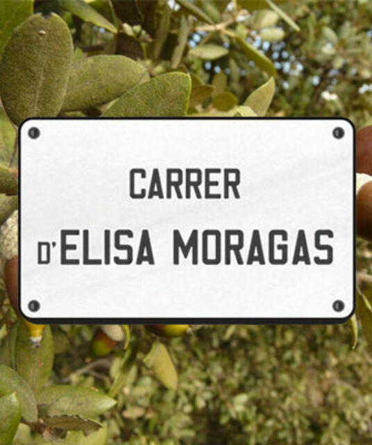 avatar Comissió Promotora Carrer Elisa Moragas