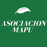 Avatar: Asociacion Mapu