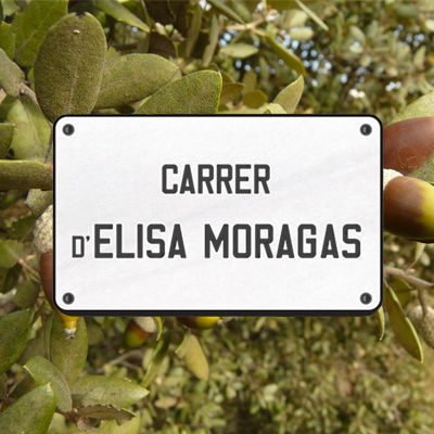 Avatar: Comissió Promotora Carrer Elisa Moragas