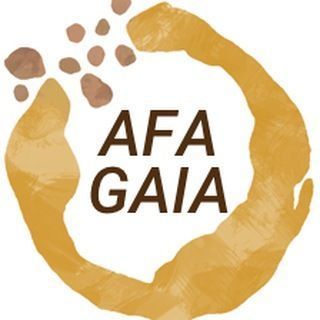 Avatar: AFA Escola Gaia