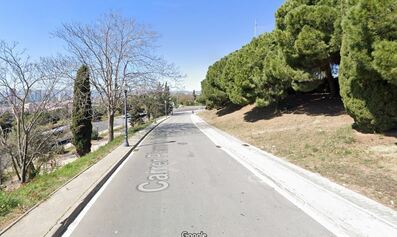Millorar i renaturalitzar els camins de Montjuïc