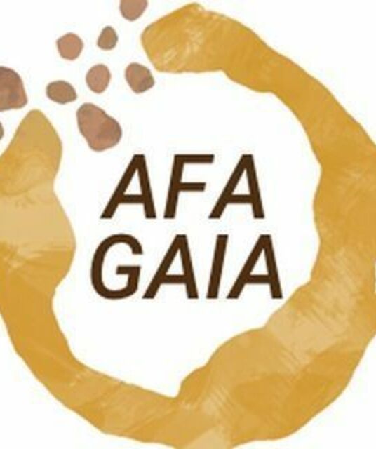 avatar AFA Escola Gaia